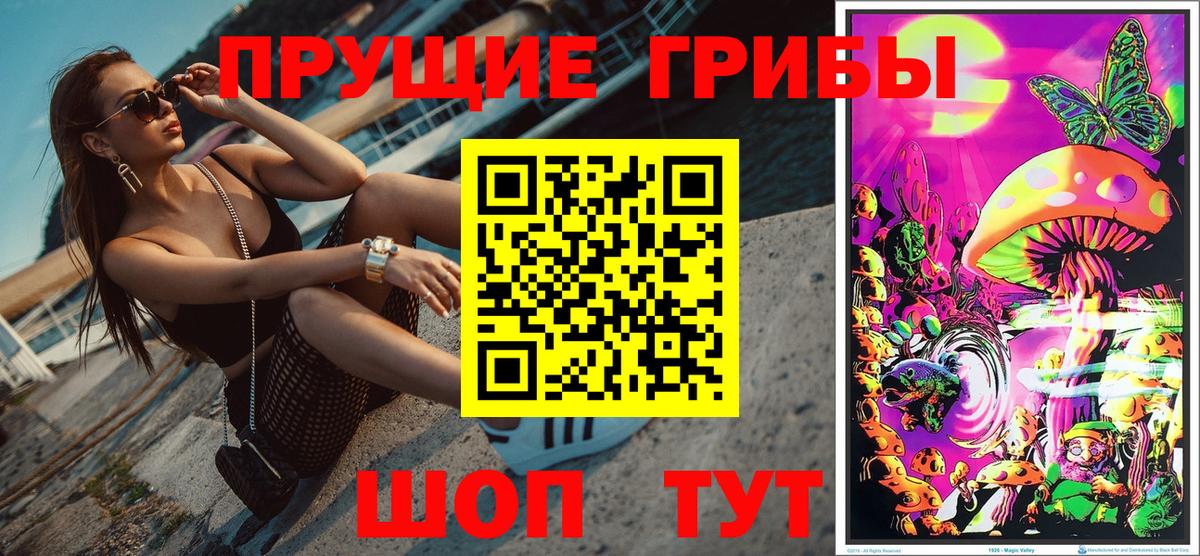 Псилоцибиновые грибы Psilocybine cubensis  Псилоцибиновые грибы прущие грибы  Вход с VPN  Верхняя Пышма 