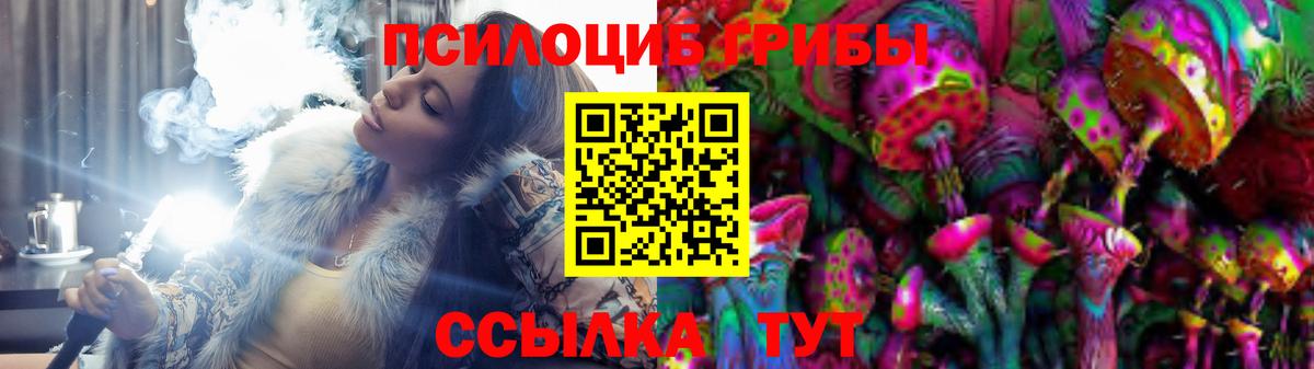 Псилоцибиновые грибы Cubensis Верхняя Пышма